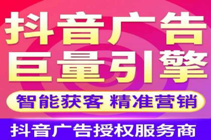某某sem推广公司在某行业的应用与效果分析